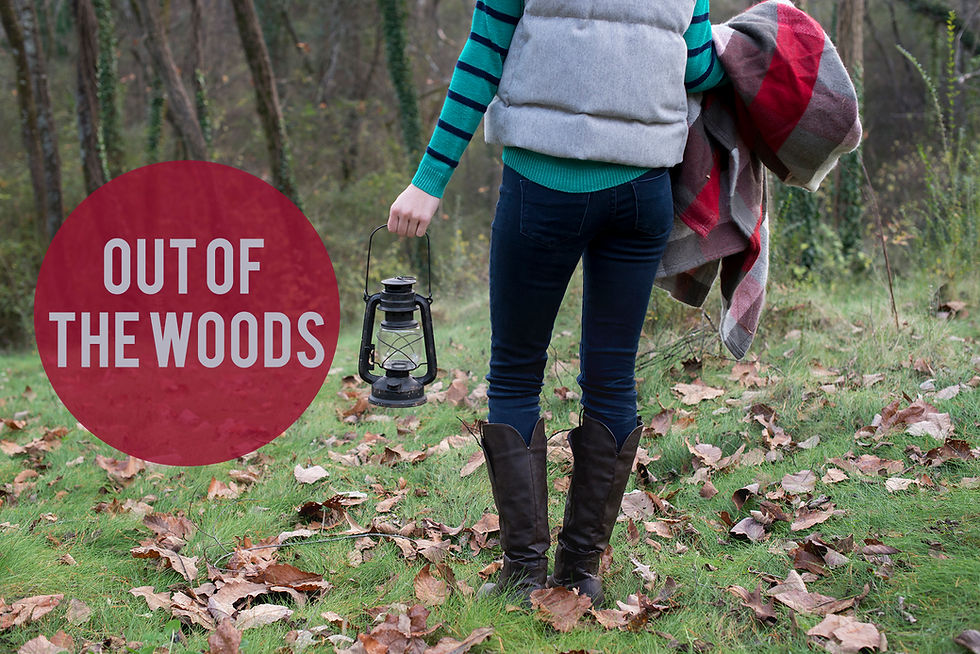 outa woods.jpg