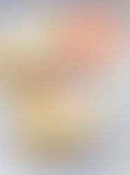 Brunch Review: The Bitter Alibi