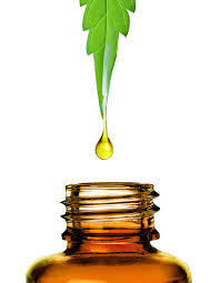 CBD Oil