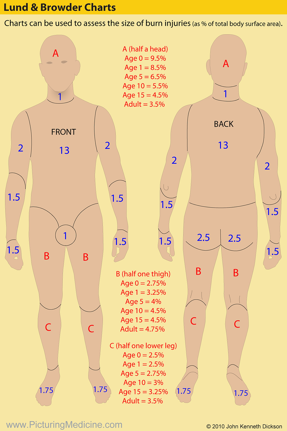 Burns Initial Management Tipsinplasticsurgery Burns Initial Management Tipsinplasticsurgery