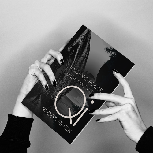 Book launch promo kit and marketing visuals by Peppered Pixels