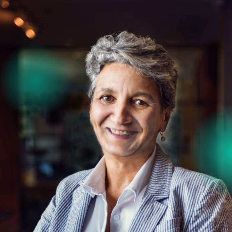 Gabriela Casineanu, Author and Founder of Introverts Academy — Peppered Pixels client review