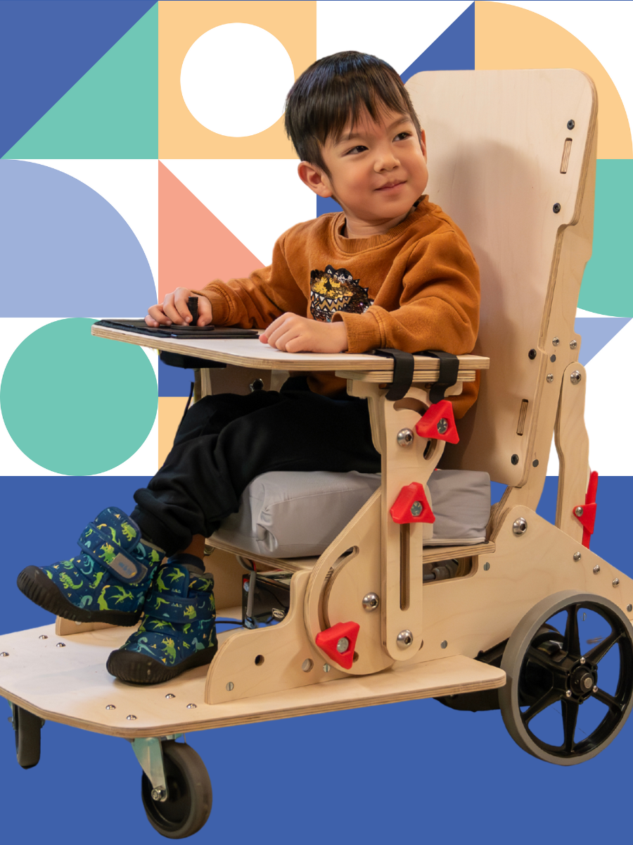 Drive Inclusion Donation Form Graphic.png