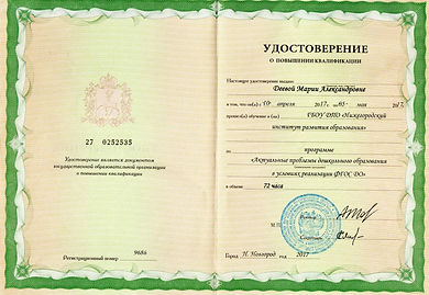 проблемы до.jpg