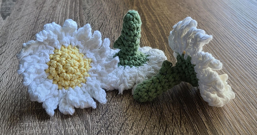 Thumbnail: Daisy Set