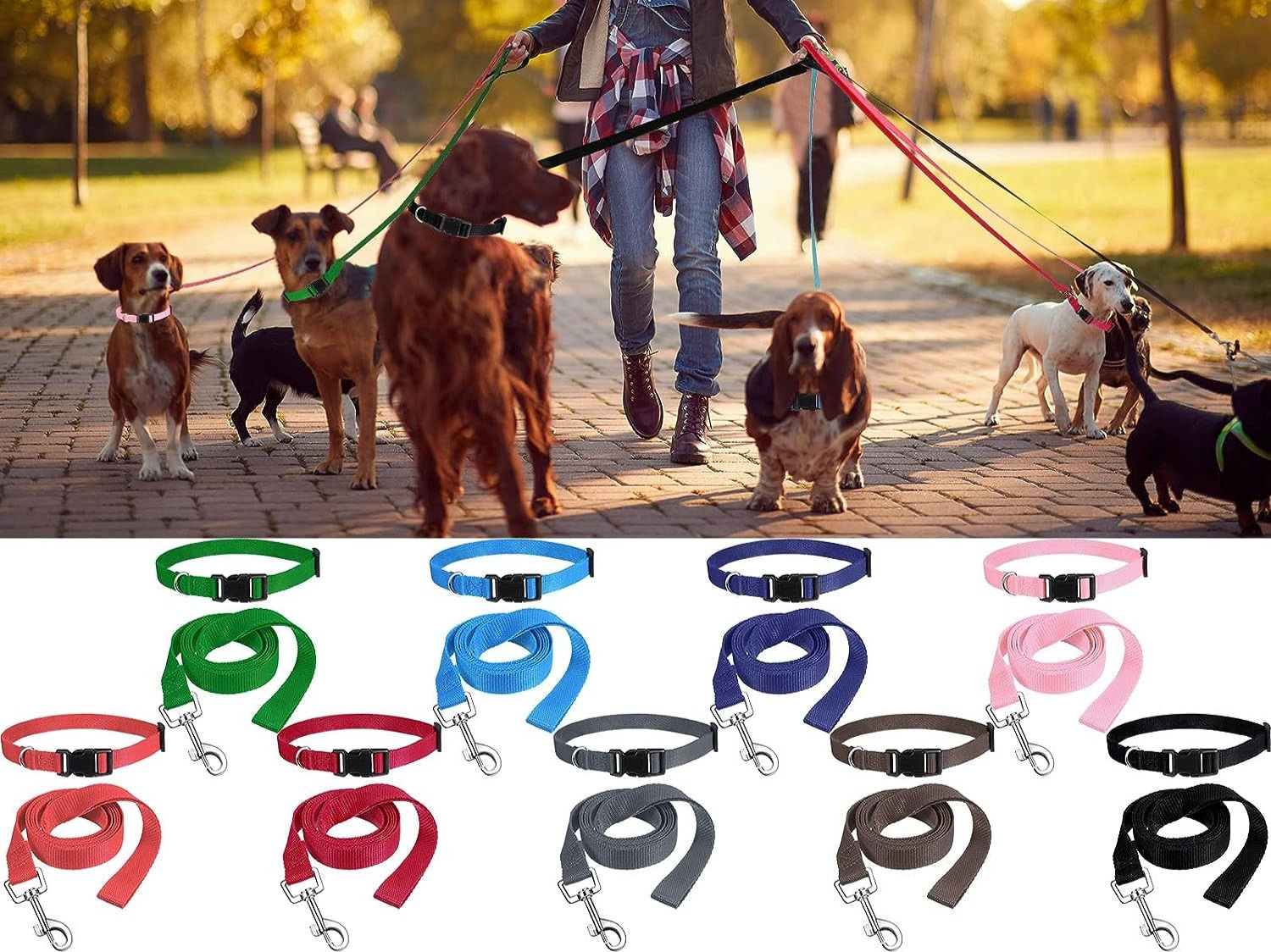 Medium/Large Dog Gift Set