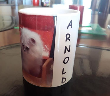 arnold mug.JPG