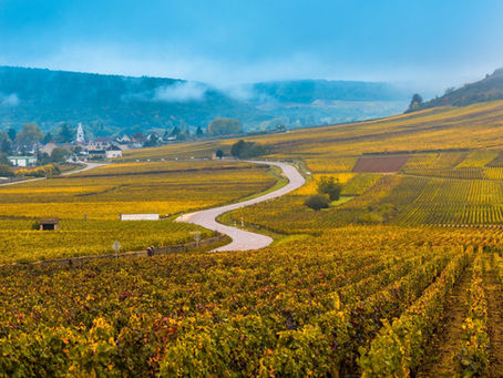 Panorama des vignobles de Bourgogne le long de la Route des Grands Crus près de Beaune, avec une route traversant les célèbres paysages viticoles bourguignons.