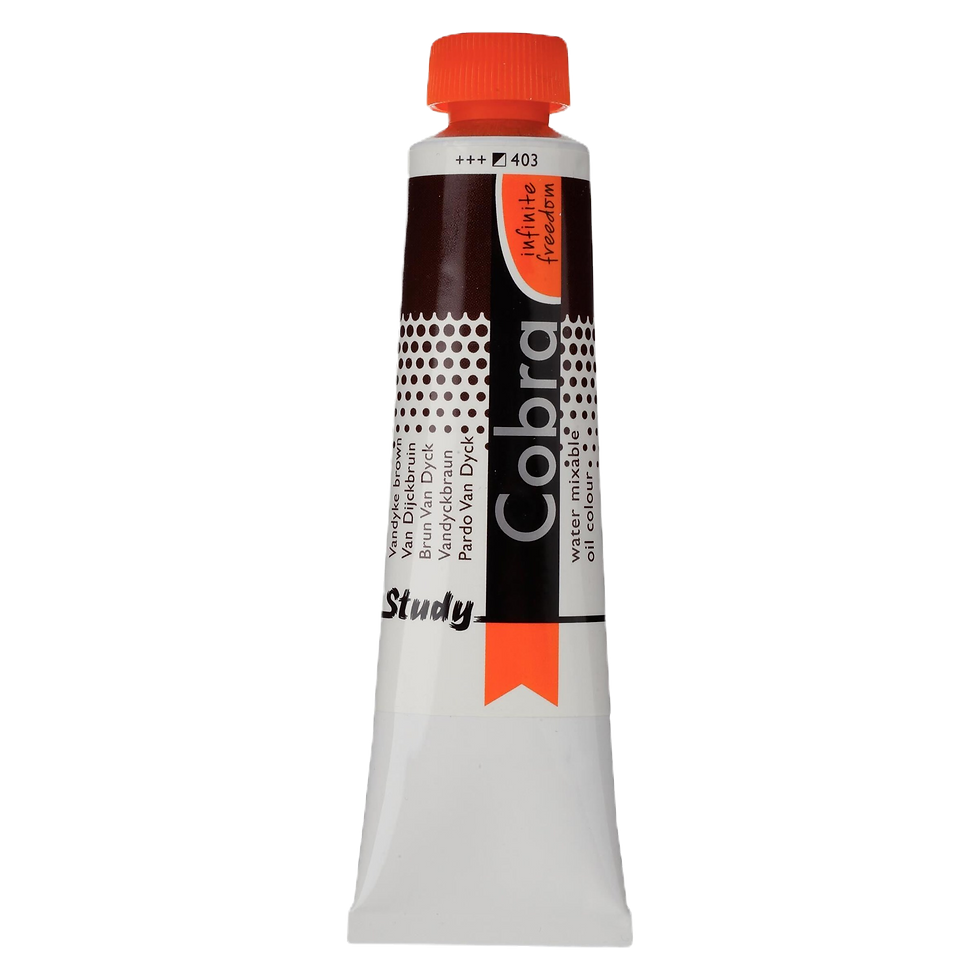 Study Oil Colour 40 ml Vandyke Brown 403