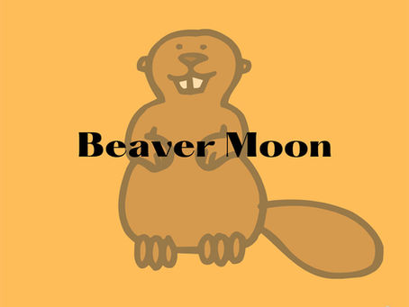November Full Moon - Beaver Moon