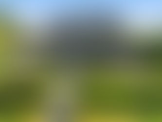 Realtor Kirkland Near Big Finn Hill Park in Kirkland, WA