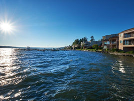 Realtor Near Me in Bellevue: Near Muromoto Memorial Park