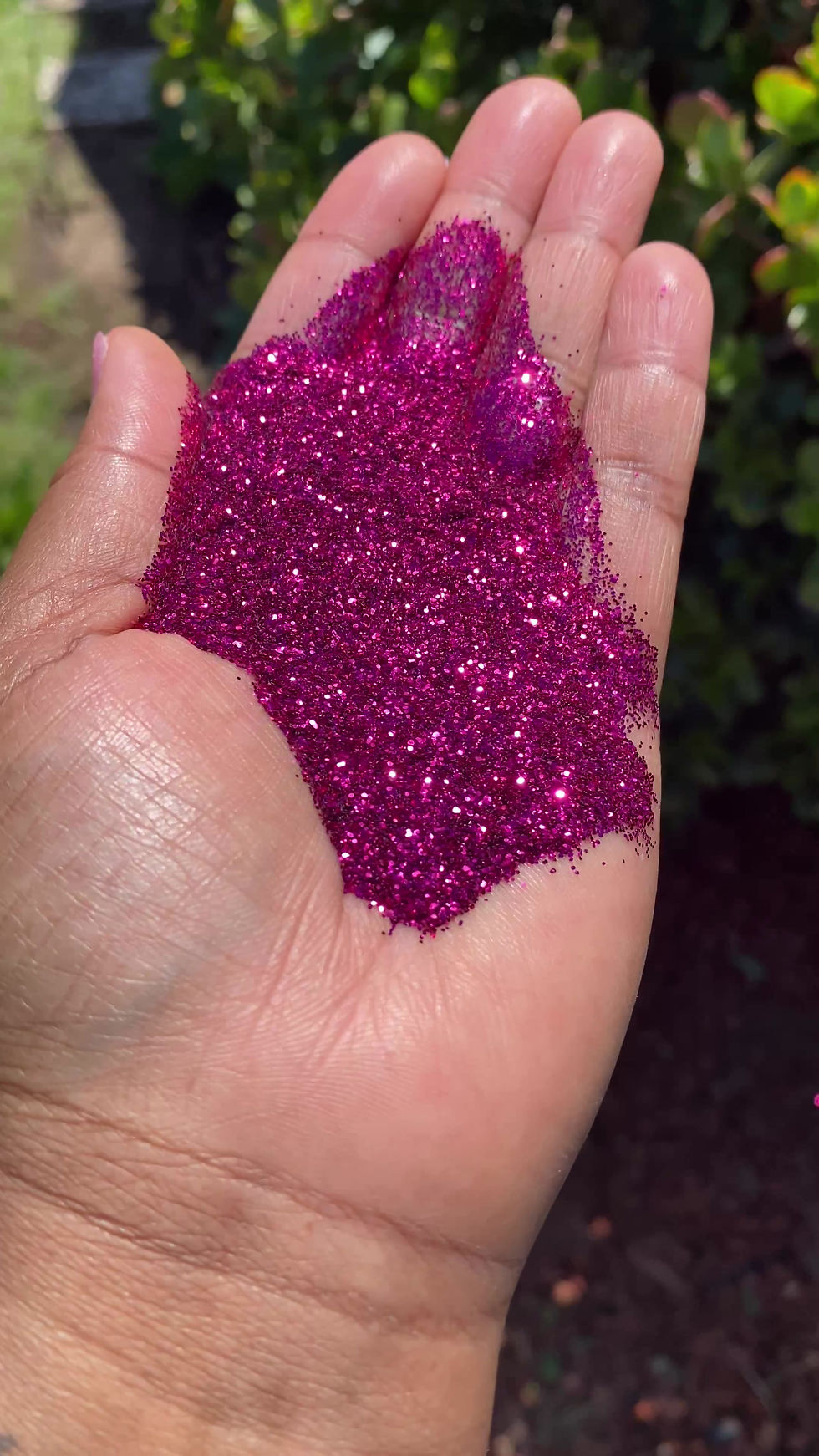 Thumbnail: Boysenberry