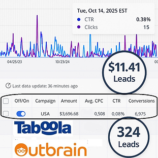Taboola and Outbrain campaign performance showing lead generation results with cost per lead and conversion data