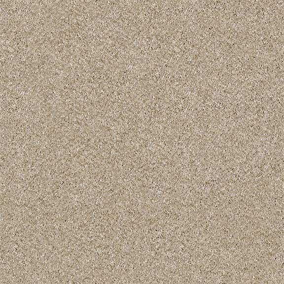 Texture Carpet Sample