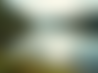 The Power of Mindfulness in Everyday Life