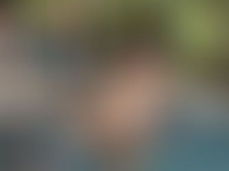 Luxury Wildlife Safaris in India (2026 Guide): Tailored for Global Travelers by Vanraj Safaris