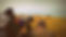 nature photography packages.jpg