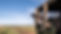 wildlife safari tour package.jpg
