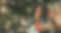 wildlife photography package india.jpg
