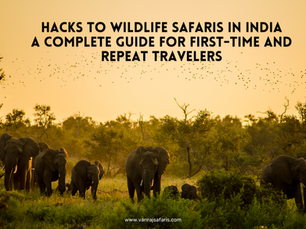 Hacks to Wildlife Safaris in India: A Complete Guide for First-Time and Repeat Travelers