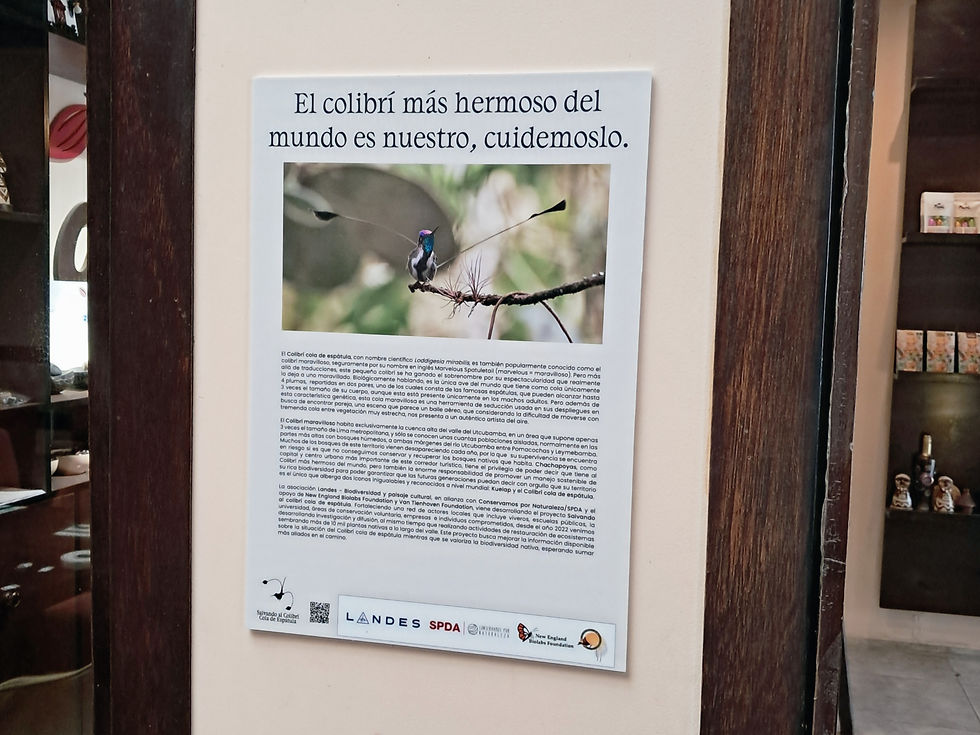 Exposición fotográfica El colibrí más hermoso del mundo es nuestro, cuidemoslo, Salvando al colibrí
