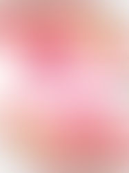 🍁 11月のスケジュール 🌰