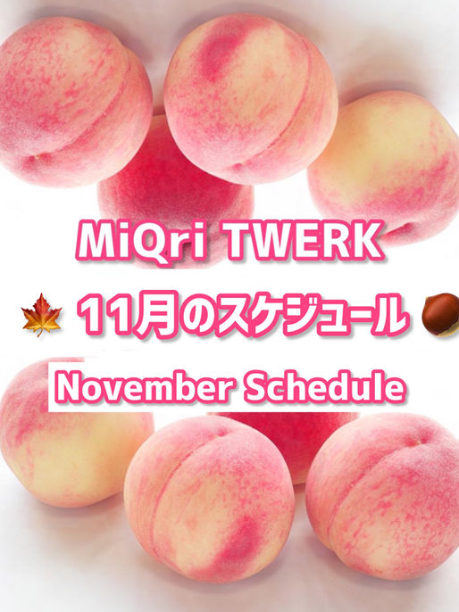 🍁 11月のスケジュール 🌰