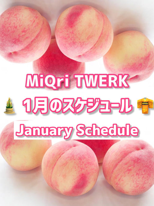 1月のスケジュール