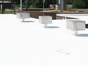 white roof- conklin_edited.jpg