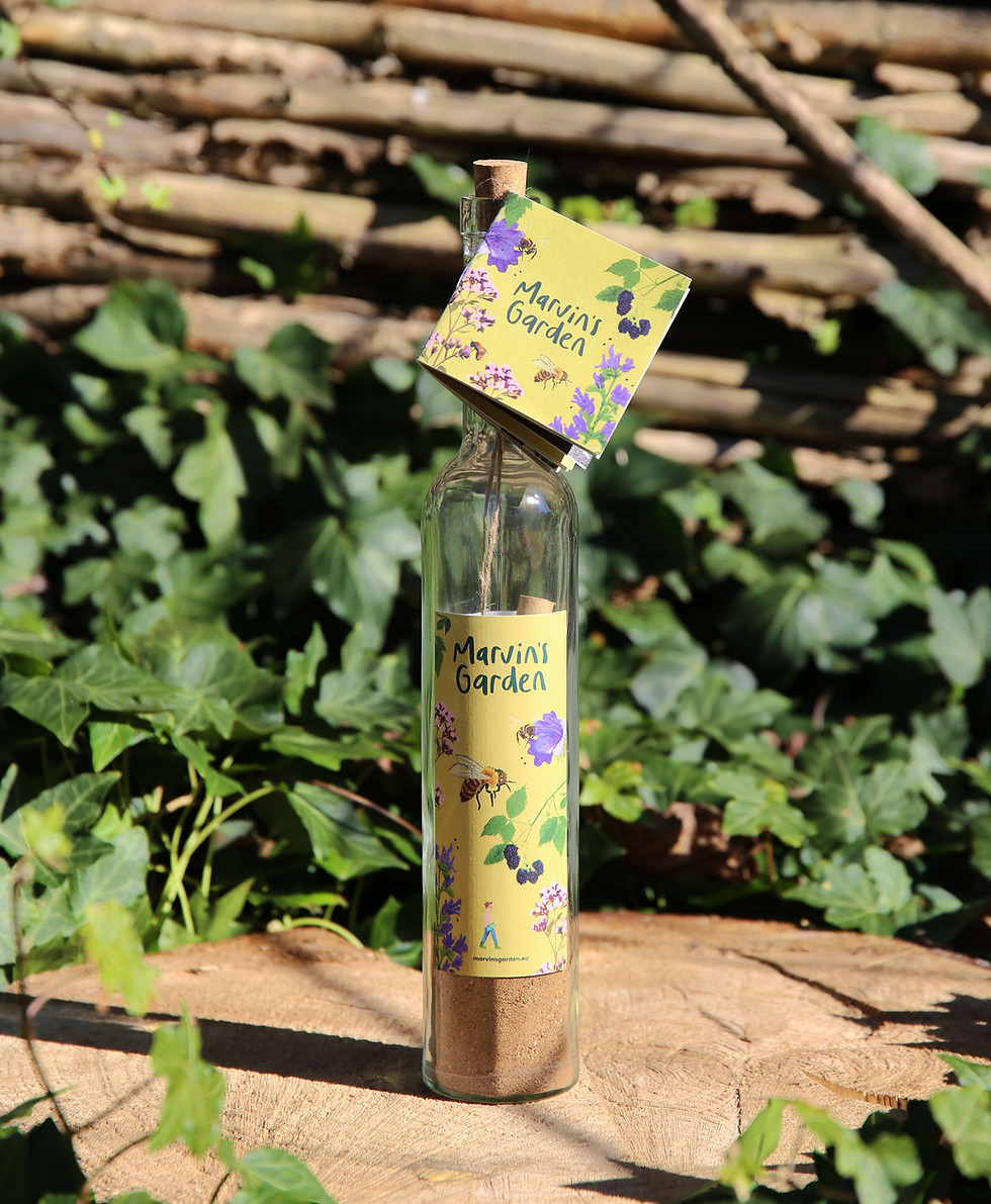Message In A Bottle Bee Bottle.jpg