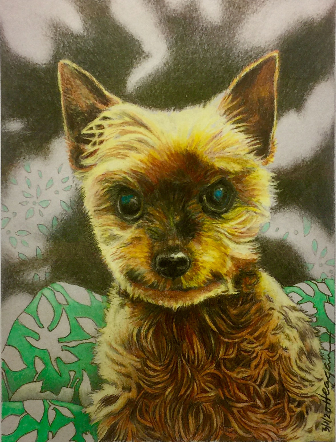 Darling Daisy - Price by Size