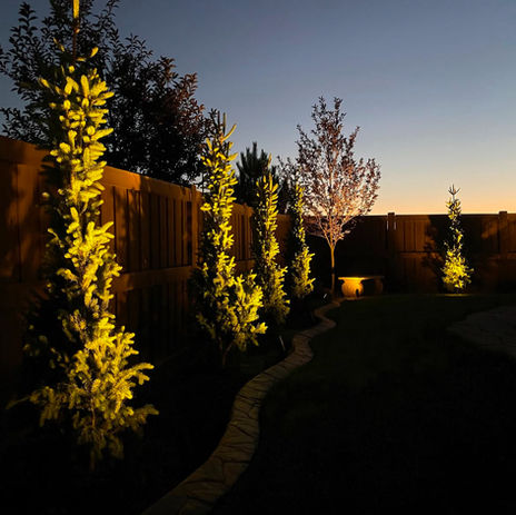 Backyard of a home in Westminster, Colorado with pine trees and a fence lit by LED landscape lights 
