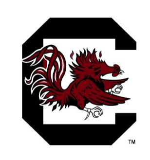 South Carolina Baseball Logo_edited