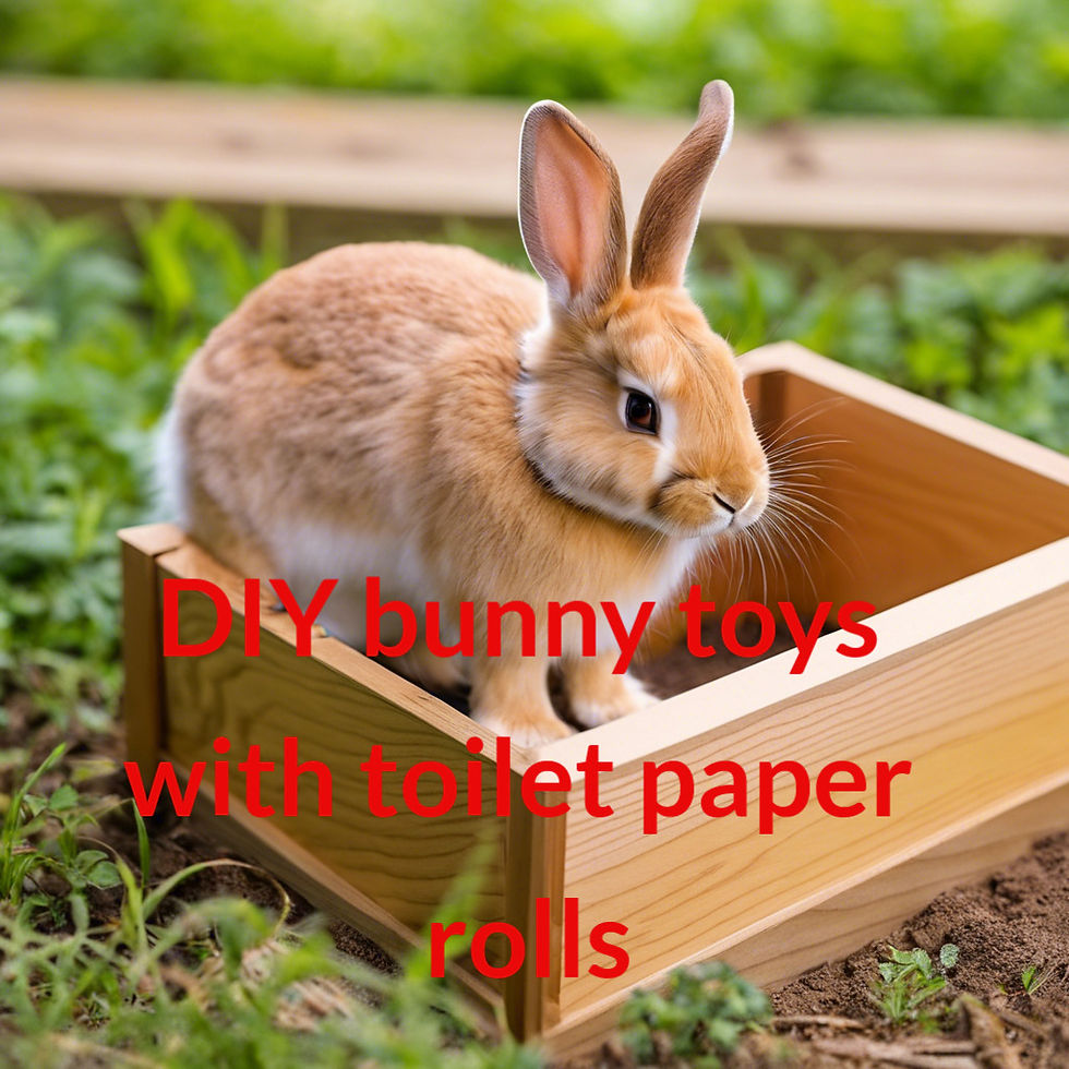 Bunny Toys