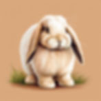 Common Signs of a Sick Rabbit
