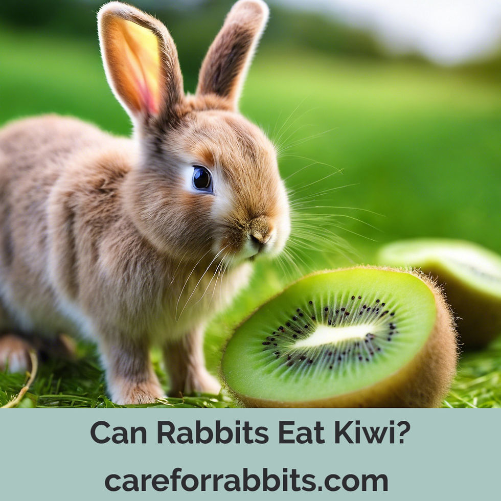Can Rabbits Eat Kiwi?