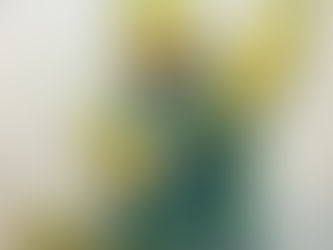 2017年あけましておめでとうございます。