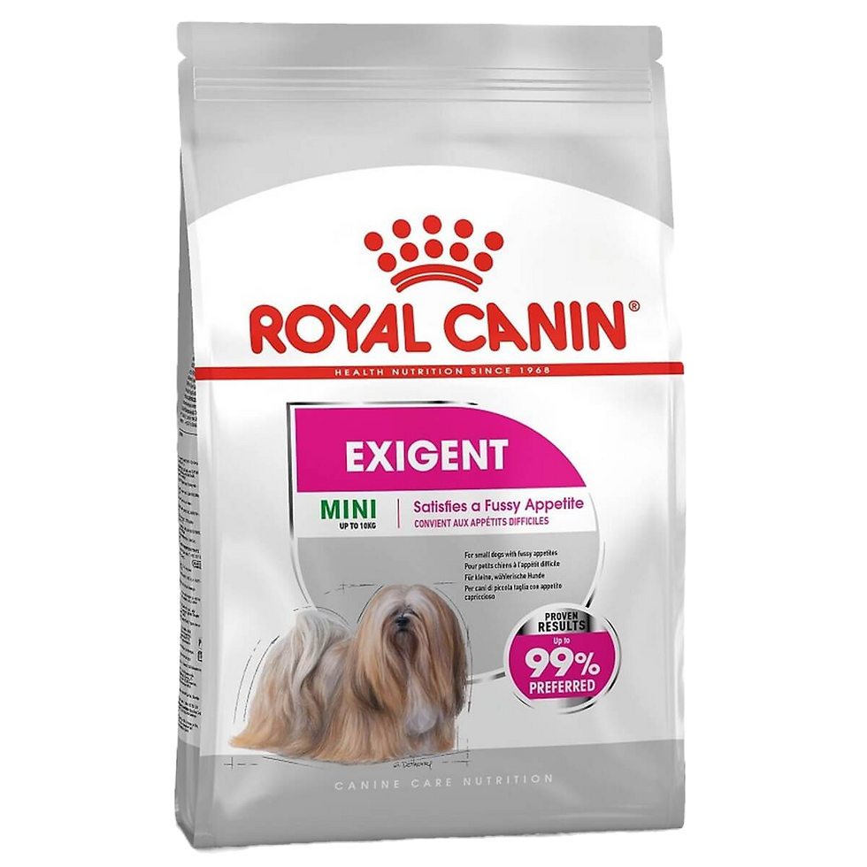 Royal Canin CCN Mini Exigent Köpek Maması 3 kg