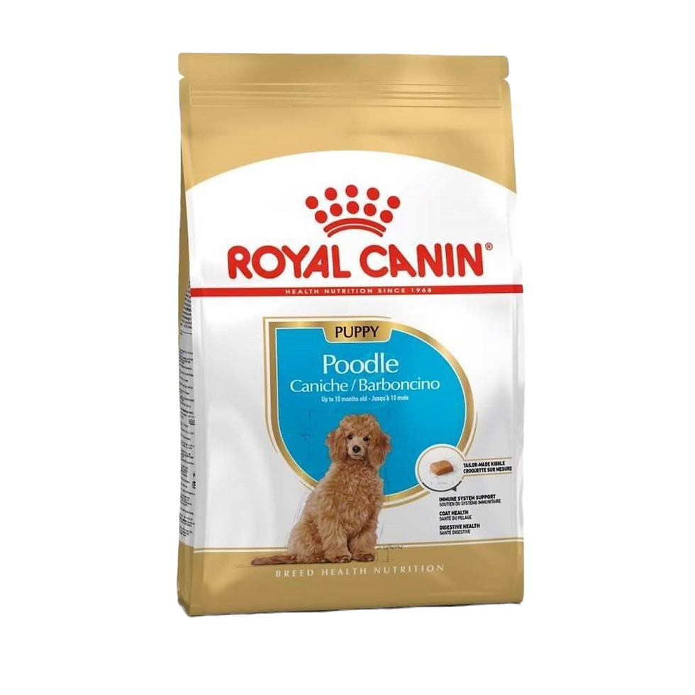 Royal Canin Poodle Junior Yavru Köpek Maması 3 Kg