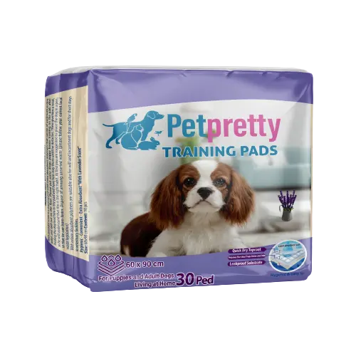 Tuvalet eğitiminde lavanta ferahlığı: Pet Pretty Köpek Eğitim Pedi, yüksek emiş gücü ve koku önleyici özelliğiyle evde hijyen sağlar. Şimdi Pets Carnival avantajlarıyla!