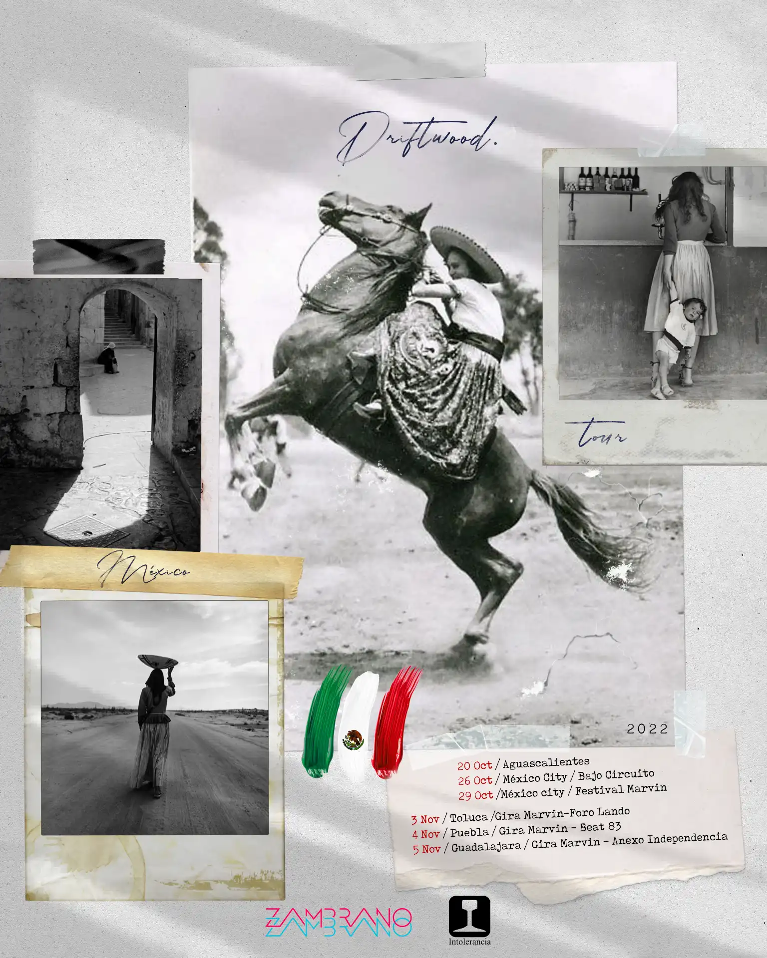 DRIFTWOOD-TOUR-MEX-2.webp