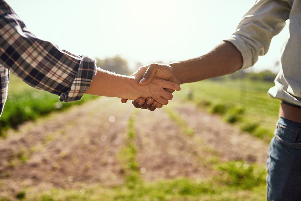 iStock-1187138232.jpg