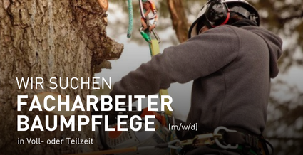 Facharbeiter Baumpflege.png