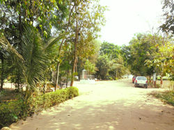 DSCN1672_Fotor