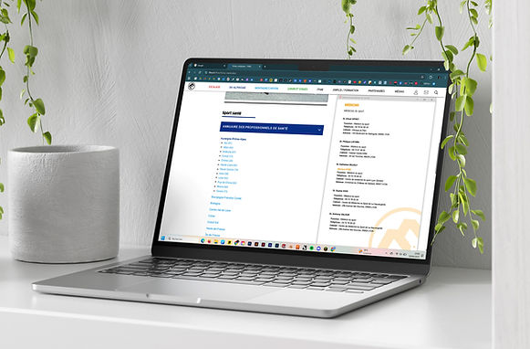 Emilie Vache designer freelance annuaire professionnels escalade FFME.jpg