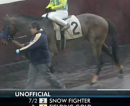 Snow Fighter Prevails!