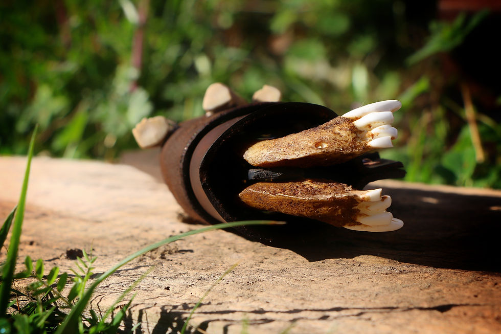 Miniature : Couteau primitif 