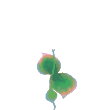 growing-unscreen.gif