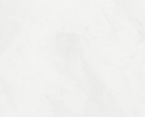 White Background_edited.jpg